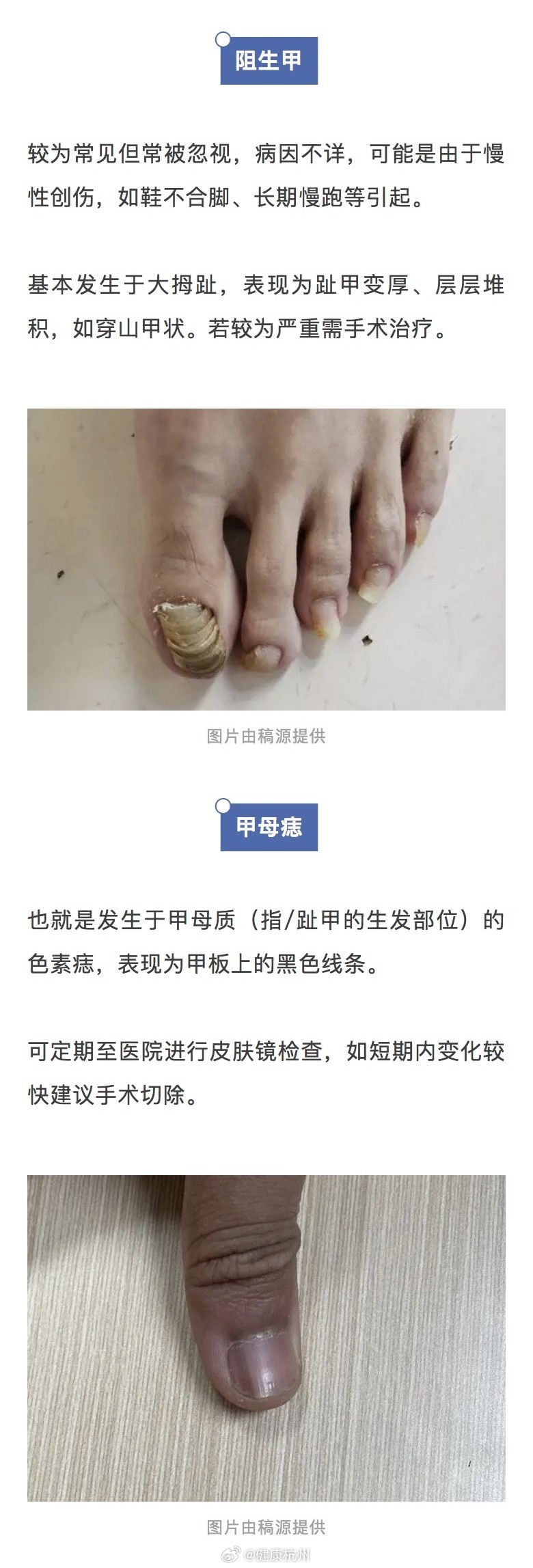 技术服务 第42页