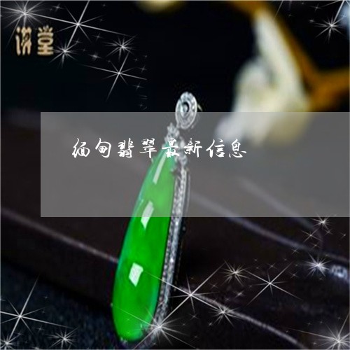 缅甸翡翠最新动态，温情故事与玉石之韵