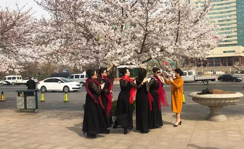 潍坊最新地图，自然美景的探索之旅