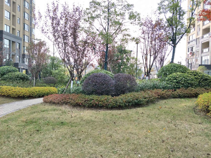 扬州君悦华府最新房价动态，机遇与自我超越的置业旅程