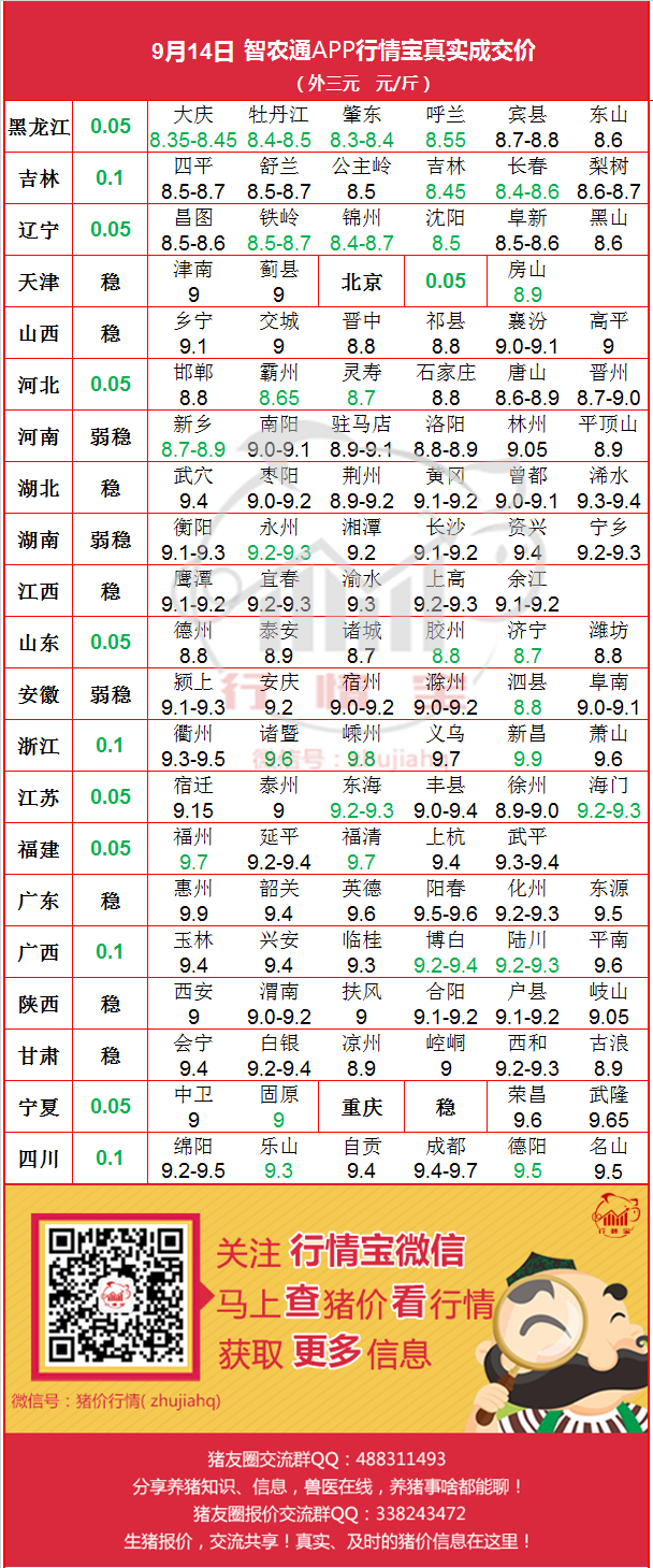 广东温氏最新毛鸡价，获取指南与实时价格信息