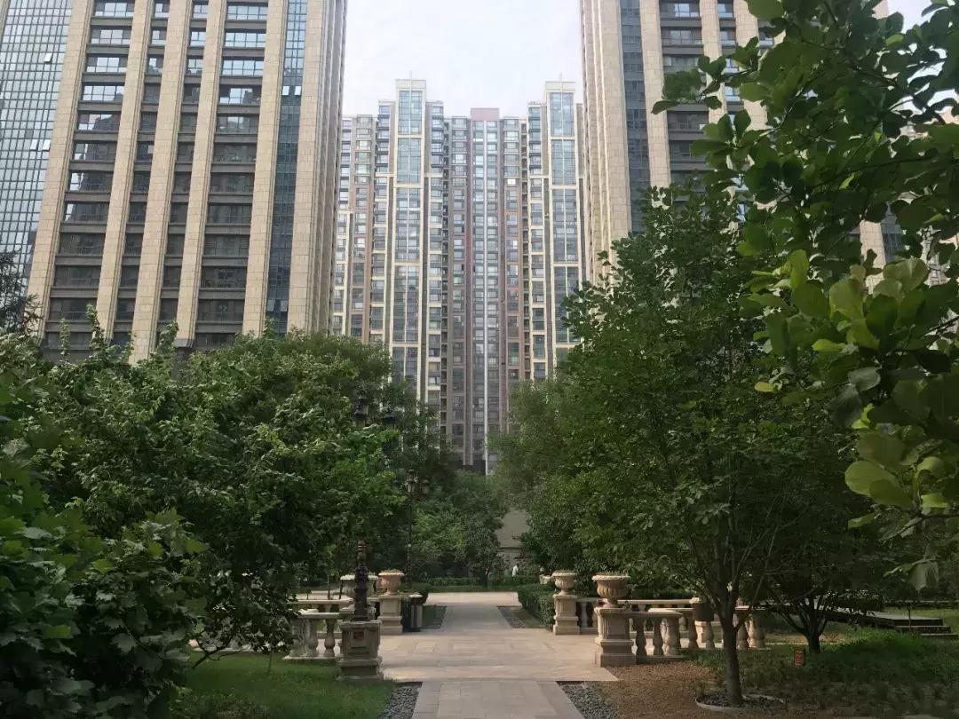 石家庄房价最新动态，小巷深处的秘密小店揭秘